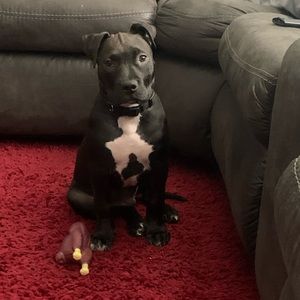 Meet your Posher, Bryant